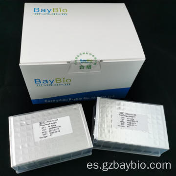 Kits de ARN viral magnético de Baypure